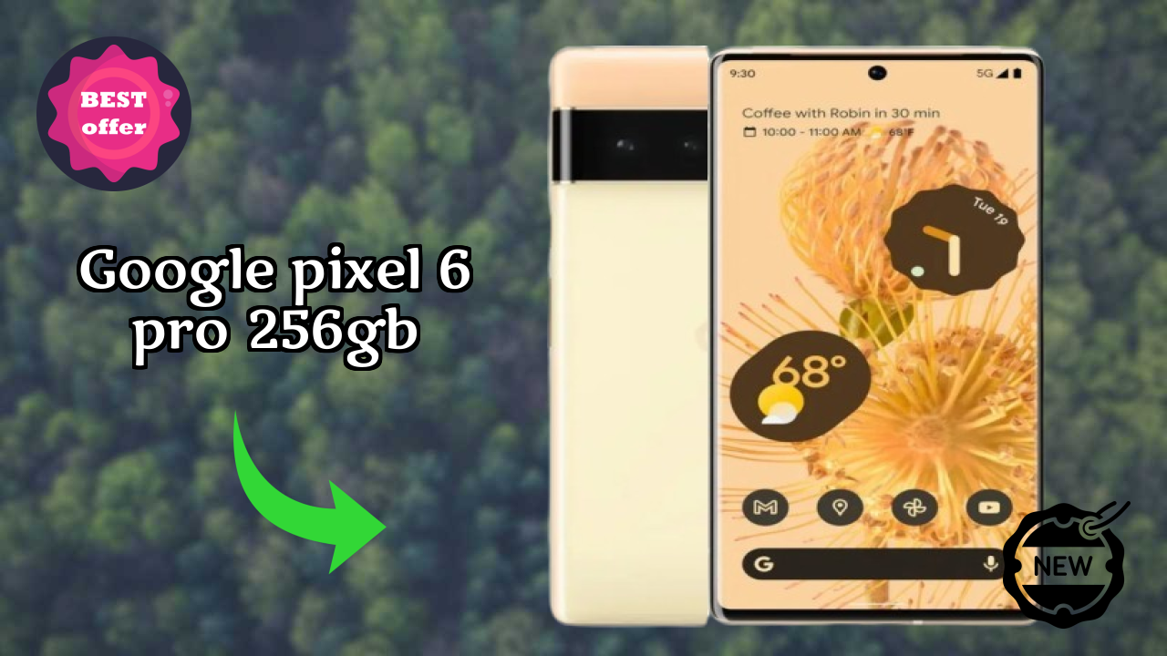 Google Pixel 6 Pro 256GB Display Quality: P-OLED Explained